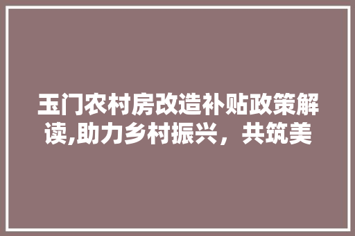 玉门农村房改造补贴政策解读,助力乡村振兴，共筑美丽乡村