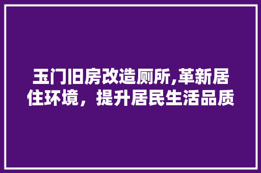 玉门旧房改造厕所,革新居住环境，提升居民生活品质