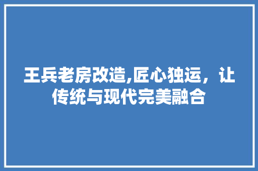 王兵老房改造,匠心独运，让传统与现代完美融合