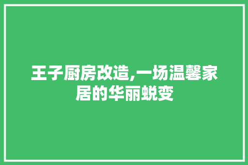 王子厨房改造,一场温馨家居的华丽蜕变