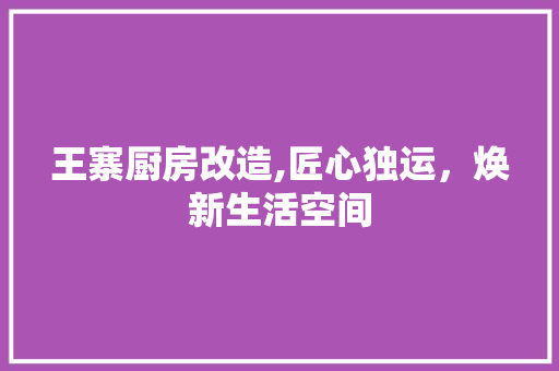 王寨厨房改造,匠心独运，焕新生活空间