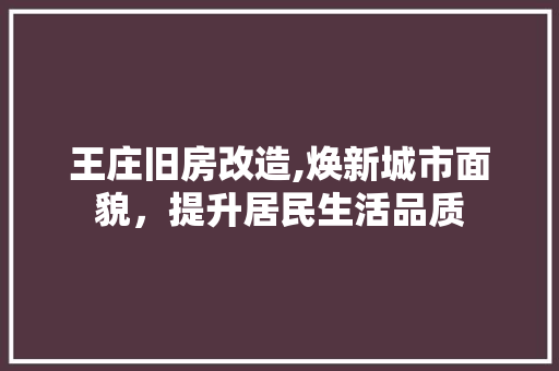王庄旧房改造,焕新城市面貌，提升居民生活品质