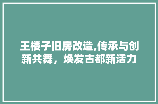王楼子旧房改造,传承与创新共舞，焕发古都新活力