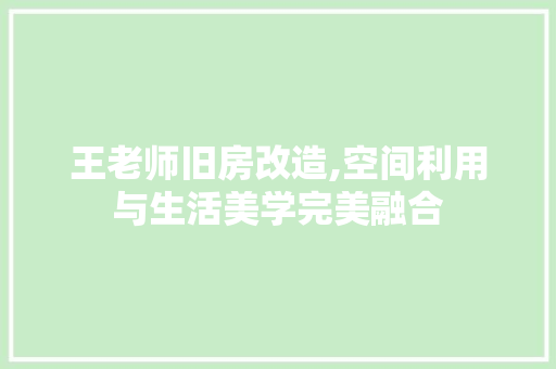 王老师旧房改造,空间利用与生活美学完美融合