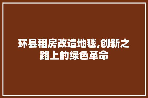 环县租房改造地毯,创新之路上的绿色革命