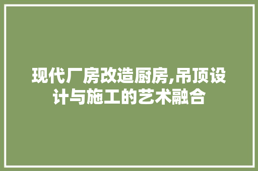 现代厂房改造厨房,吊顶设计与施工的艺术融合 综合便民