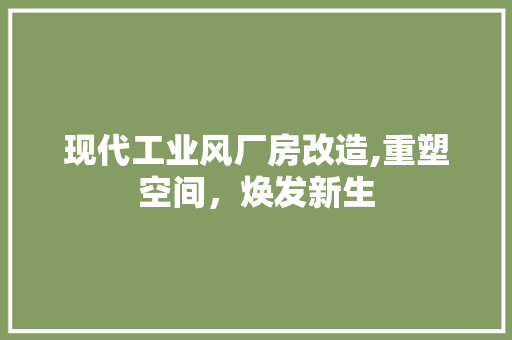 现代工业风厂房改造,重塑空间，焕发新生 厨房维修