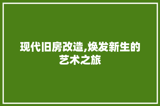 现代旧房改造,焕发新生的艺术之旅 厨房维修