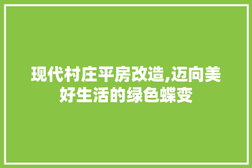 现代村庄平房改造,迈向美好生活的绿色蝶变