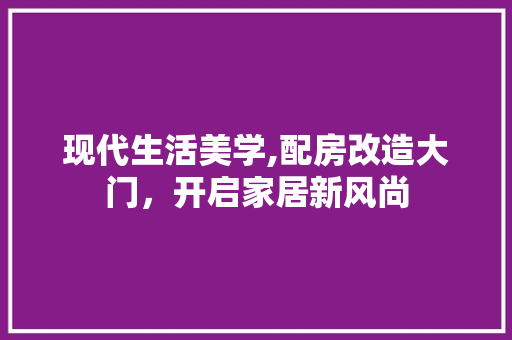 现代生活美学,配房改造大门，开启家居新风尚