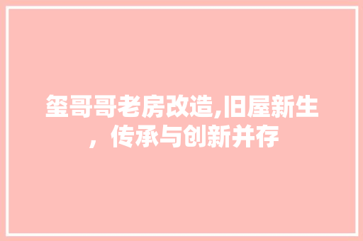 玺哥哥老房改造,旧屋新生，传承与创新并存 厨房维修
