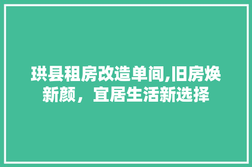 珙县租房改造单间,旧房焕新颜，宜居生活新选择 厨房维修