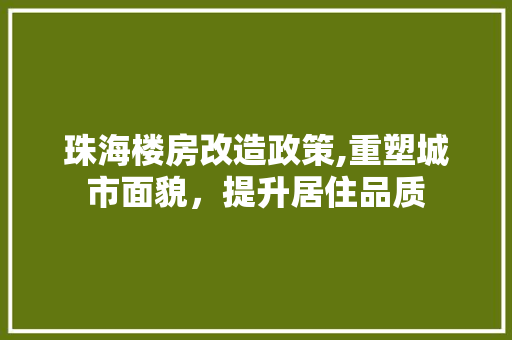 珠海楼房改造政策,重塑城市面貌，提升居住品质