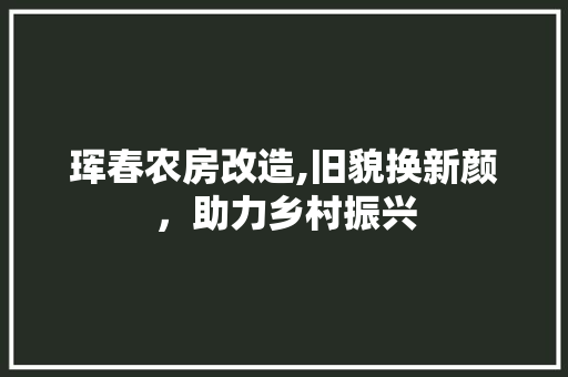 珲春农房改造,旧貌换新颜，助力乡村振兴