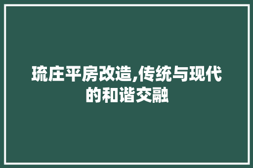 琉庄平房改造,传统与现代的和谐交融