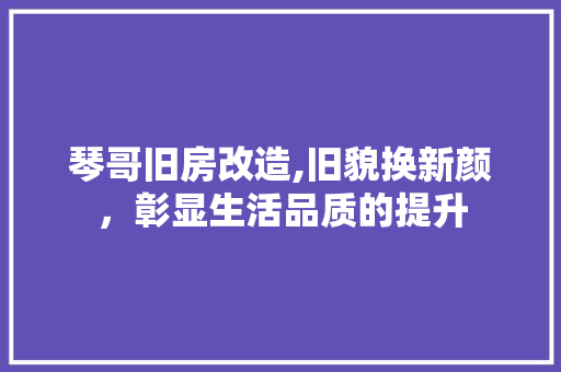 琴哥旧房改造,旧貌换新颜，彰显生活品质的提升