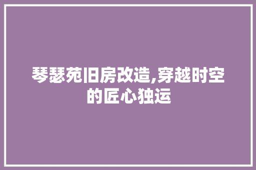 琴瑟苑旧房改造,穿越时空的匠心独运