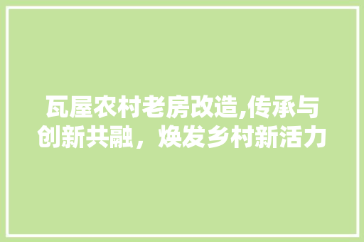 瓦屋农村老房改造,传承与创新共融，焕发乡村新活力
