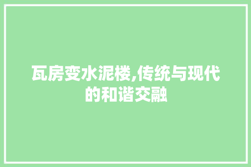 瓦房变水泥楼,传统与现代的和谐交融