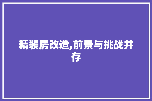 精装房改造,前景与挑战并存