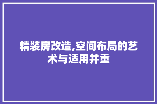 精装房改造,空间布局的艺术与适用并重