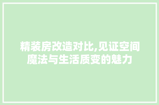 精装房改造对比,见证空间魔法与生活质变的魅力
