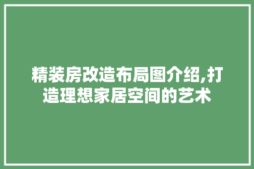 精装房改造布局图介绍,打造理想家居空间的艺术