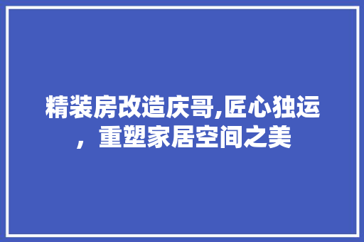 精装房改造庆哥,匠心独运，重塑家居空间之美