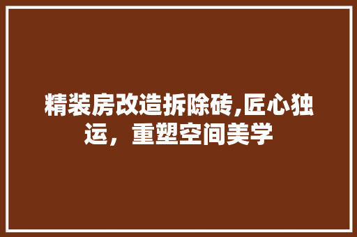 精装房改造拆除砖,匠心独运，重塑空间美学