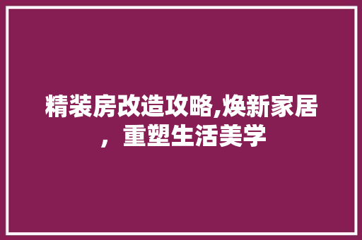 精装房改造攻略,焕新家居，重塑生活美学