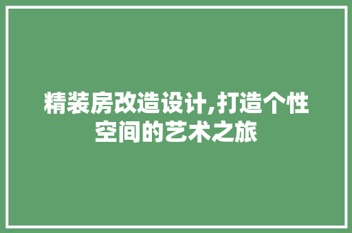 精装房改造设计,打造个性空间的艺术之旅