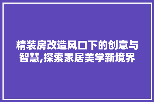 精装房改造风口下的创意与智慧,探索家居美学新境界