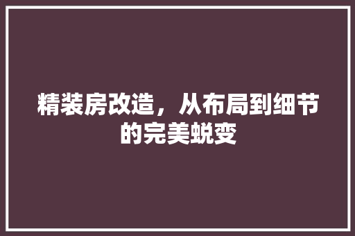 精装房改造，从布局到细节的完美蜕变