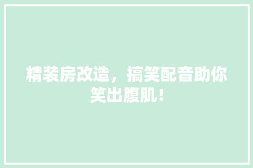 精装房改造，搞笑配音助你笑出腹肌！