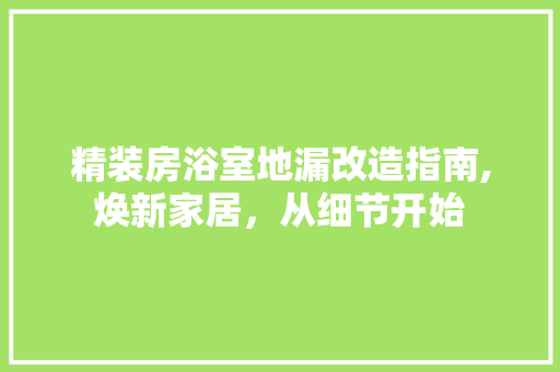 精装房浴室地漏改造指南,焕新家居，从细节开始