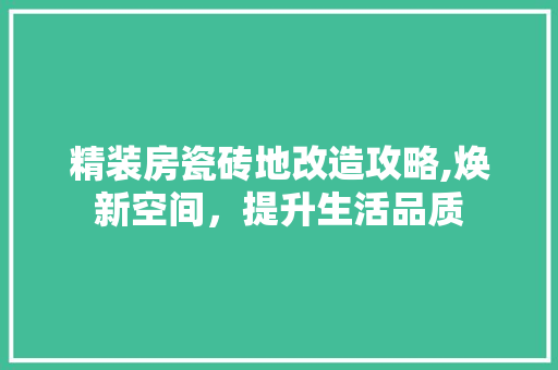 精装房瓷砖地改造攻略,焕新空间，提升生活品质
