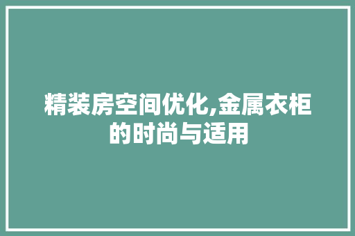 精装房空间优化,金属衣柜的时尚与适用