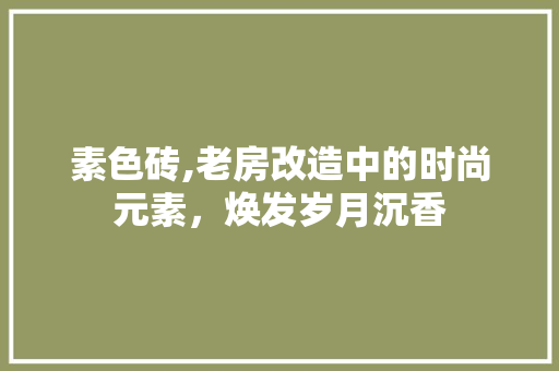 素色砖,老房改造中的时尚元素，焕发岁月沉香