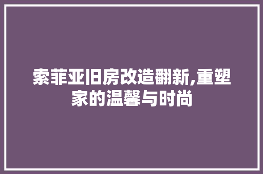 索菲亚旧房改造翻新,重塑家的温馨与时尚