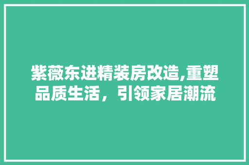 紫薇东进精装房改造,重塑品质生活，引领家居潮流