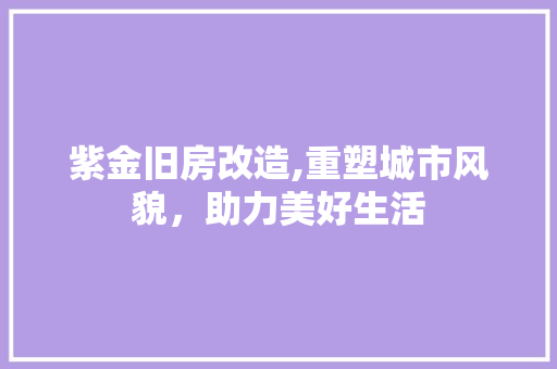 紫金旧房改造,重塑城市风貌，助力美好生活