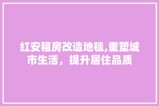 红安租房改造地毯,重塑城市生活，提升居住品质 汽车维修