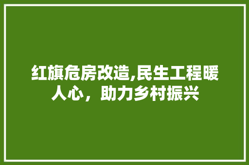 红旗危房改造,民生工程暖人心，助力乡村振兴