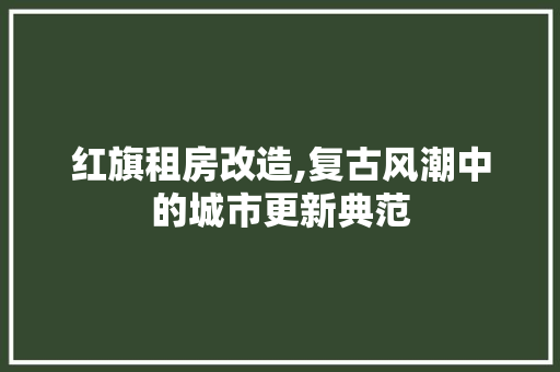 红旗租房改造,复古风潮中的城市更新典范