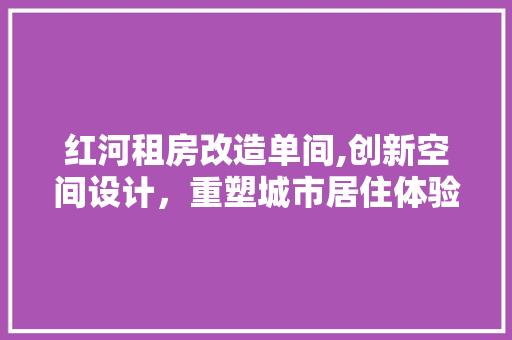 红河租房改造单间,创新空间设计，重塑城市居住体验