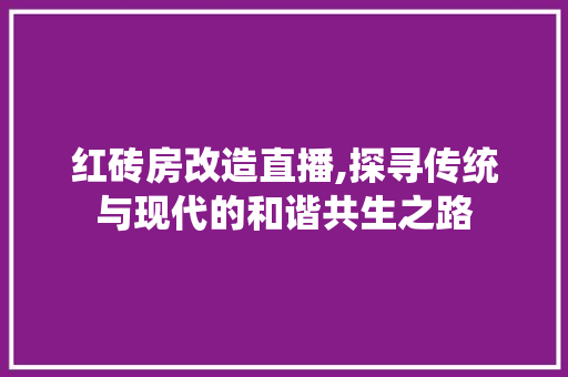 红砖房改造直播,探寻传统与现代的和谐共生之路