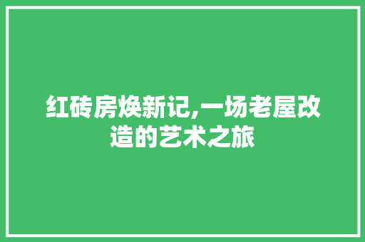 红砖房焕新记,一场老屋改造的艺术之旅