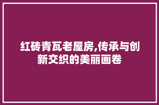 红砖青瓦老屋房,传承与创新交织的美丽画卷