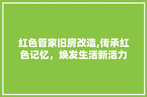 红色管家旧房改造,传承红色记忆，焕发生活新活力