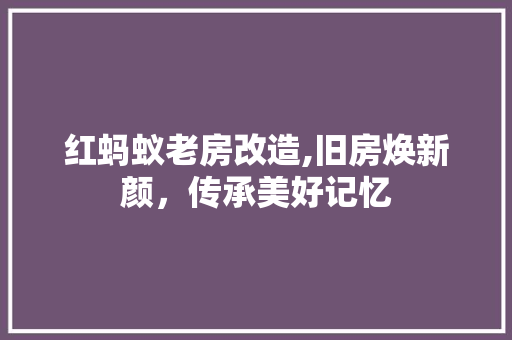 红蚂蚁老房改造,旧房焕新颜，传承美好记忆